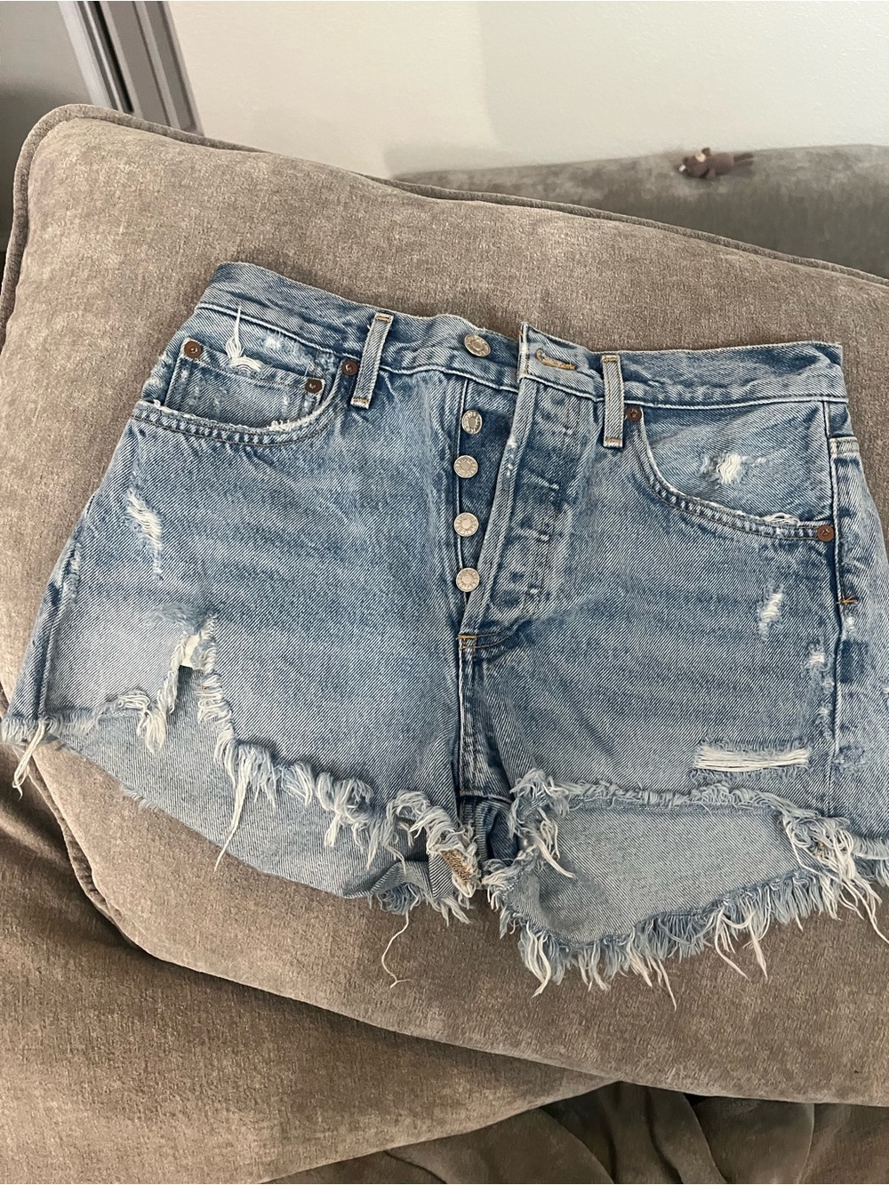 Agolde Button Front Jean Shorts - Light Blue